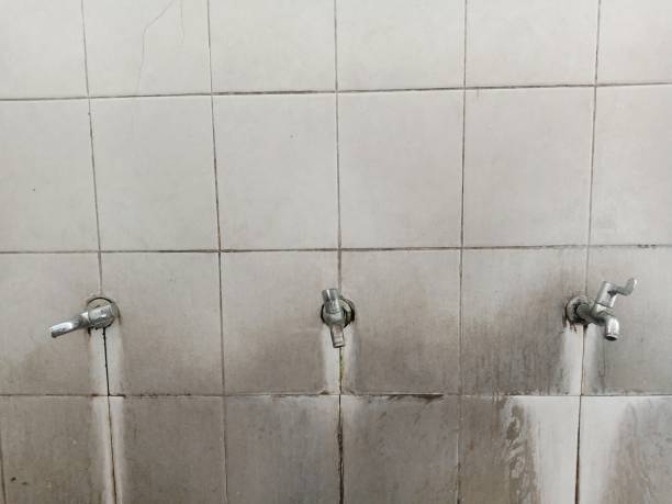 Water damage restoration mold remediation in Tarpey Village, CA