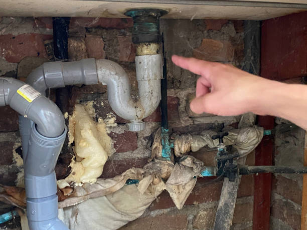 Best Basement water damage restoration  in Tarpey Village, CA