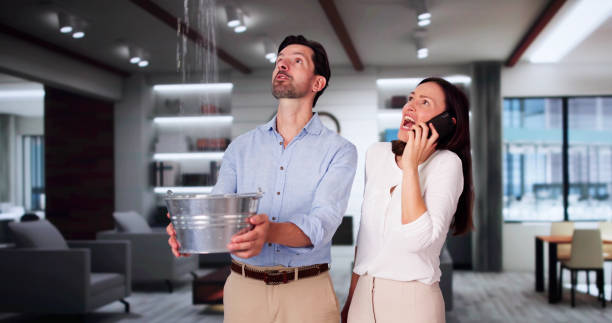 Best Water damage restoration mold remediation  in Tarpey Village, CA